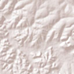 Jalostotitlan Terrain Map