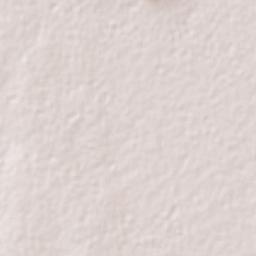 La Sabana Terrain Map