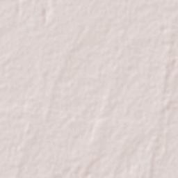 Alfredo V. Bonfil Terrain Map