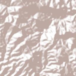 Santa Rosa de Lima Terrain Map