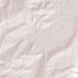 Los Galvan Terrain Map