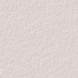 Tixpehual Terrain Map