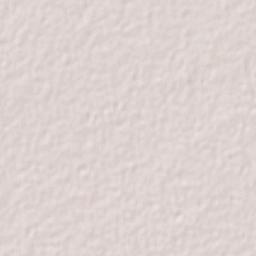 Cholul Cantón Terrain Map