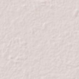 Chan Cenote Terrain Map