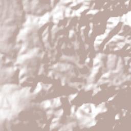 El Olvido Terrain Map