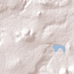 San José de los Reynoso Terrain Map