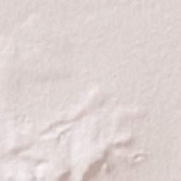 Colonia Latinoamericana Terrain Map