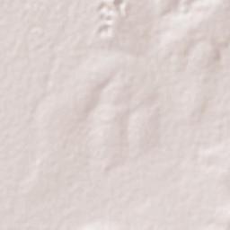 El Refugio de los Sauces Terrain Map