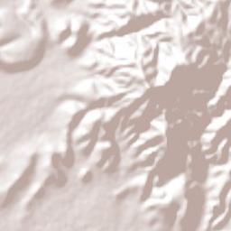 Colonia Francisco Javier Mina Terrain Map