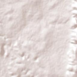 Rancho Viejo Terrain Map