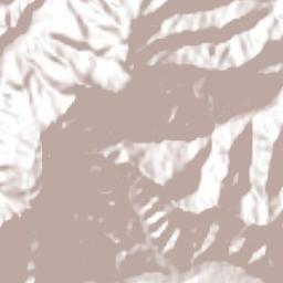 San Francisco Terrain Map