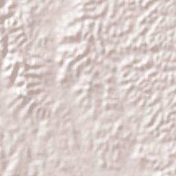Ojite Rancho Nuevo Terrain Map