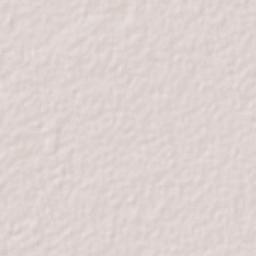 Texan de Palomeque Terrain Map