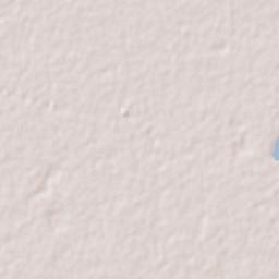 Leona Vicario Terrain Map