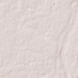 El Tintal Terrain Map