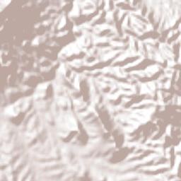 Tolimán Terrain Map