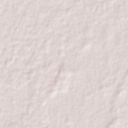 Nuevo Xcán Terrain Map