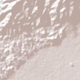 Valle de Banderas Terrain Map