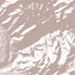 Amatlán de Cañas Terrain Map