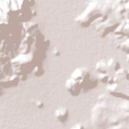 San Juanito de Escobedo Terrain Map