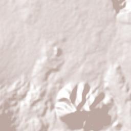 El Medineño Terrain Map