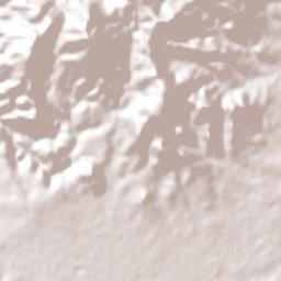 Campestre las Palomas Fraccionamiento Terrain Map