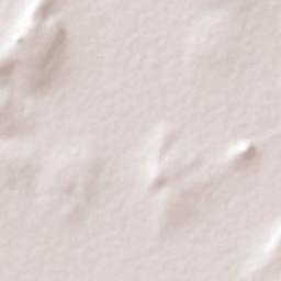 Gavia de Rionda Terrain Map