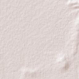 San Vicente Terrain Map