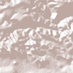 Zamorano Terrain Map