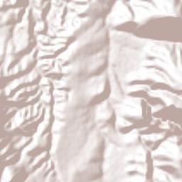Vizarrón Terrain Map