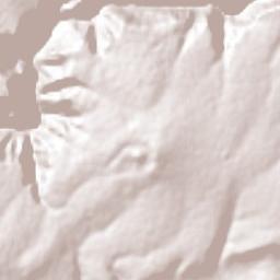 El Carricillo Terrain Map