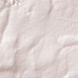 Chiquihuitillo Terrain Map