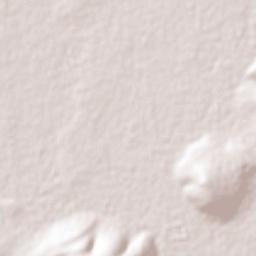 El Copalillo Terrain Map