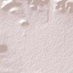 Chichimequillas Terrain Map