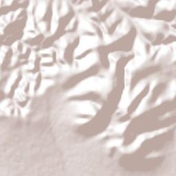 San José del Jagüey Terrain Map