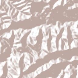 Tetzacual Terrain Map