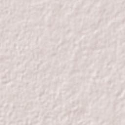 Mayan Pyramids, Yucatan, Mexico Terrain Map