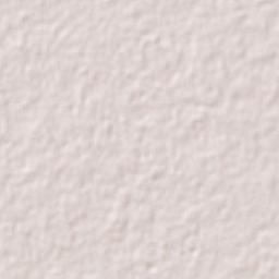 San Francisco Grande Terrain Map