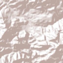 Jesús María Nayarit Terrain Map