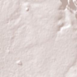 Guadalajara Terrain Map