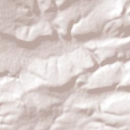 J. Isabel Flores Terrain Map