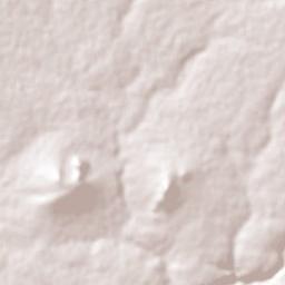 La Granjena Terrain Map