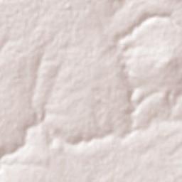 El Ojo de Agua Terrain Map