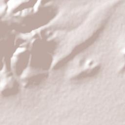 San Javier Terrain Map