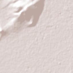 Irapuato Terrain Map