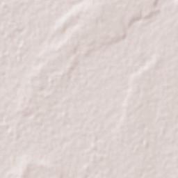 El Carrizalito Terrain Map