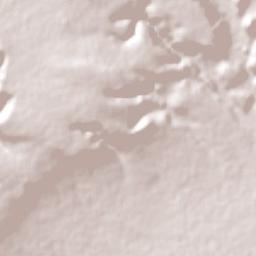 El Naranjillo Terrain Map