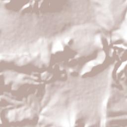 El Palmar Terrain Map
