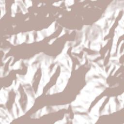 Tzicatlán Terrain Map