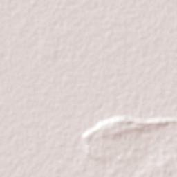 Maxcanú Terrain Map